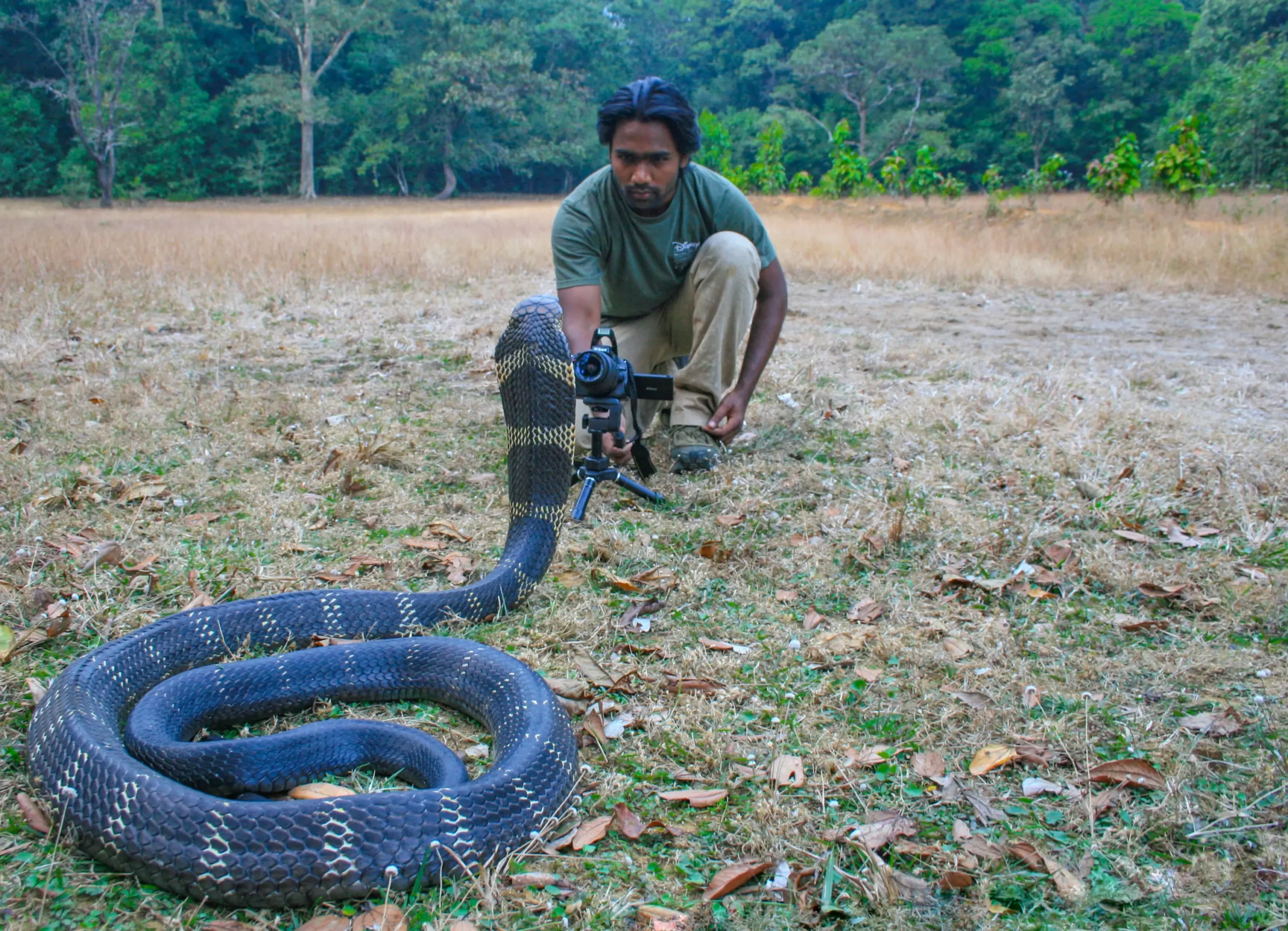 You are currently viewing Dhiraj